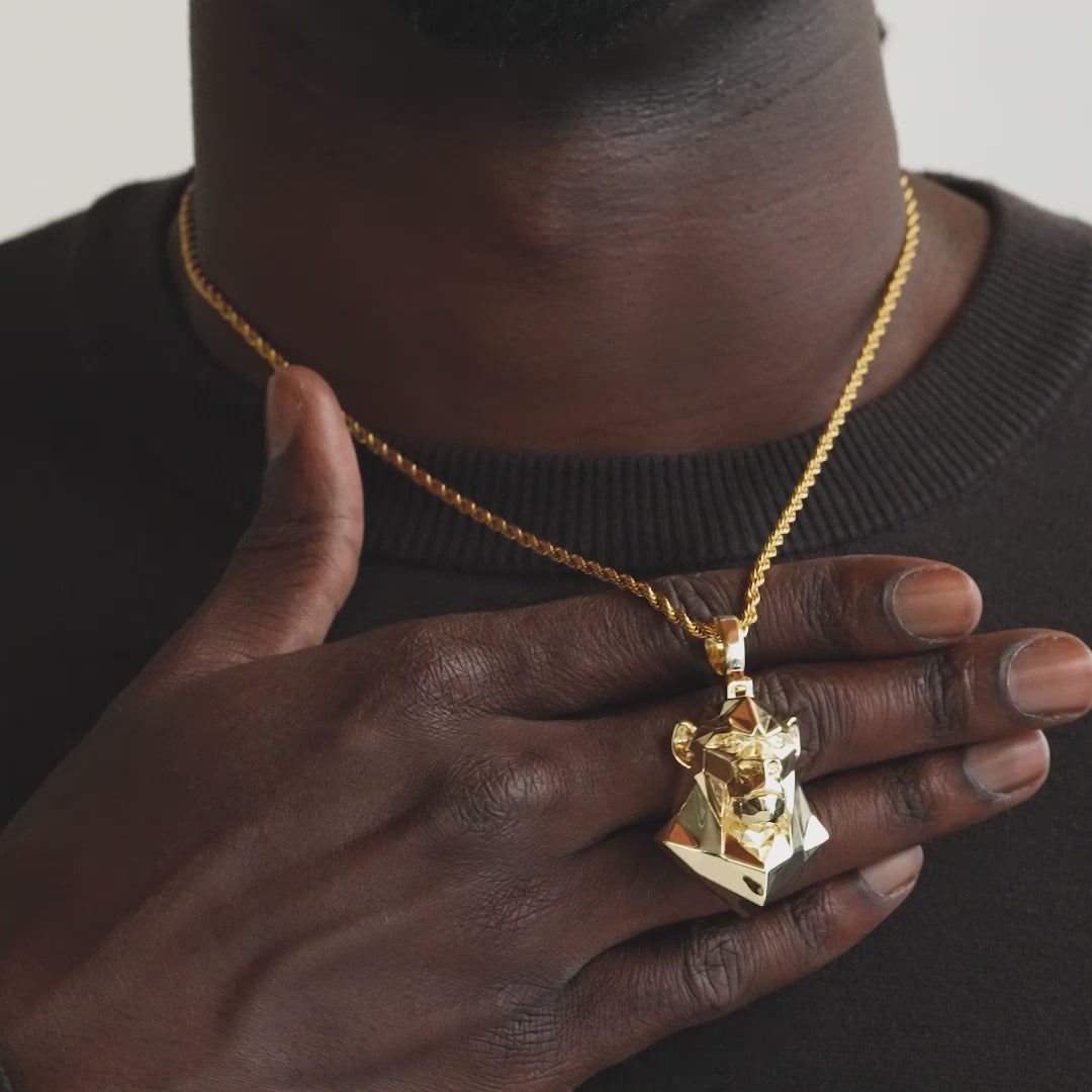 Gold Ape Head Necklace Pendant & Rope Gold Chain video
